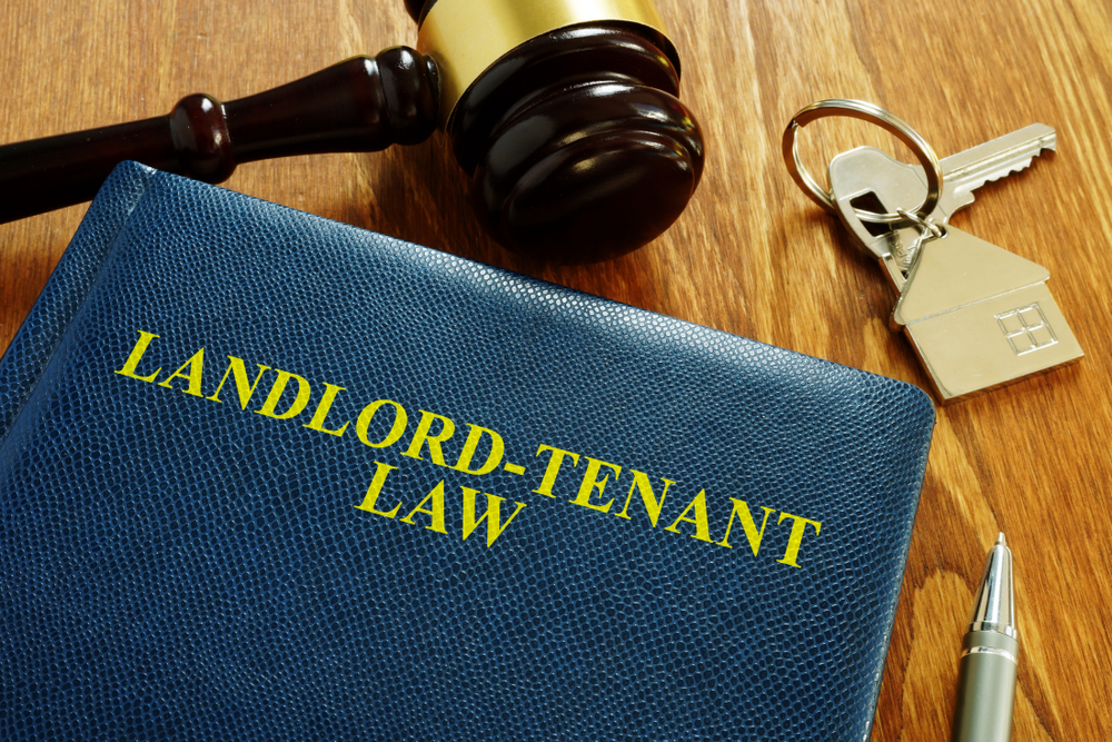 Book of landlord - tenant law